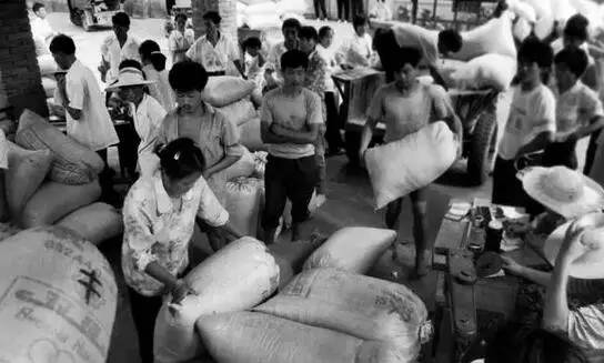 80年代场景农村交公粮,回忆从前农村交公粮