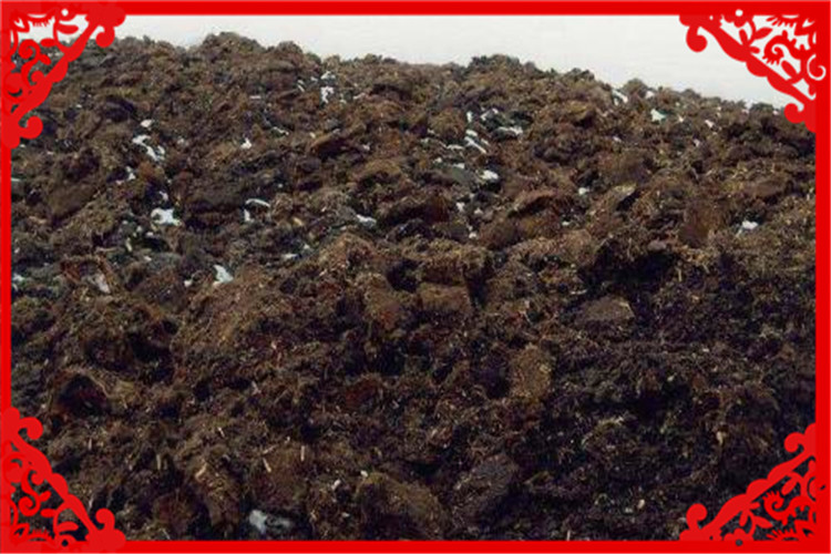 现在投资十万元做什么能挣钱,5万块钱投资适合做什么生意