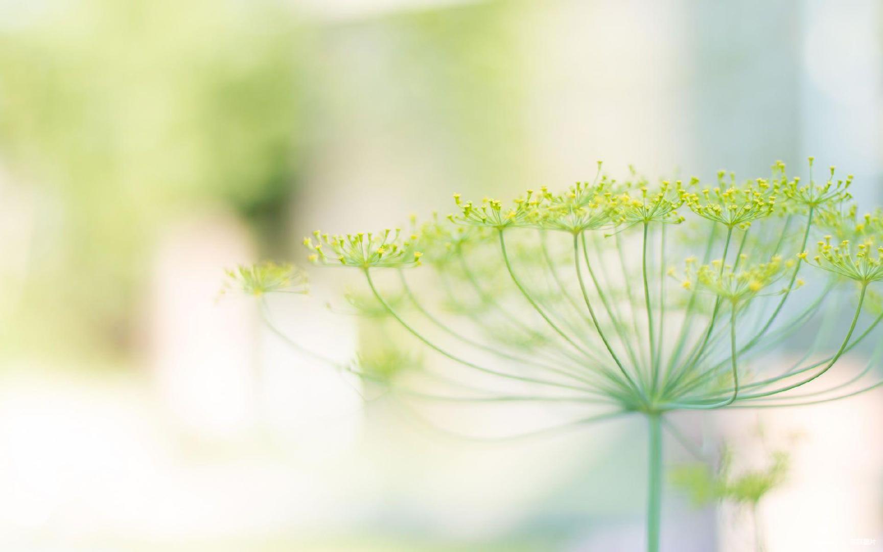 孕妇感染hpv还可以喂奶吗,感染hpv39tct正常备孕怎么办