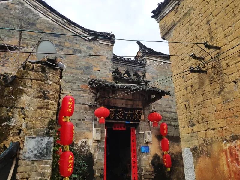 2月份去恭城看柿子,什么时候去恭城看柿子最好