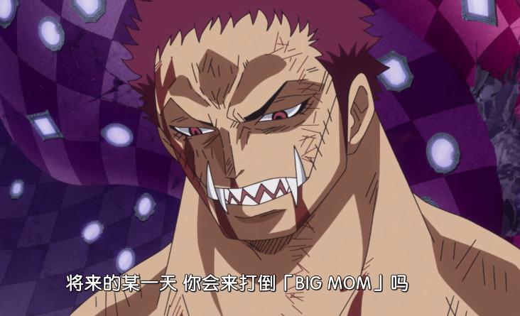 海贼王大和御田什么关系,海贼王大和最新消息