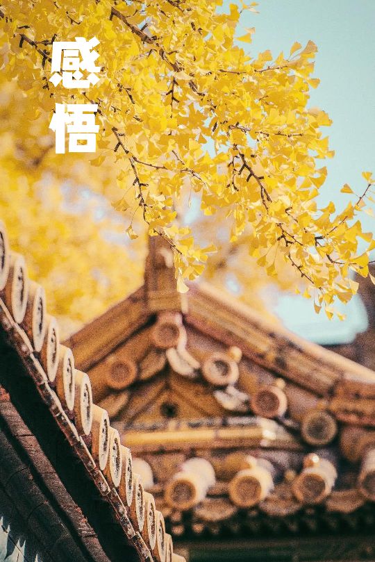 有毒的爱情小说,有毒的爱情