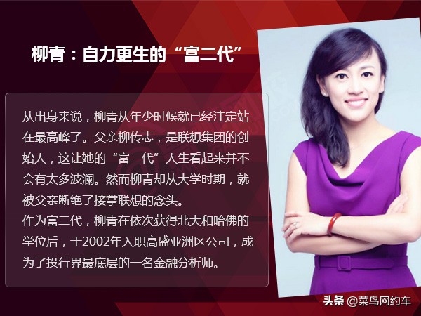 中国网约车柳青,柳青谈网约车业务