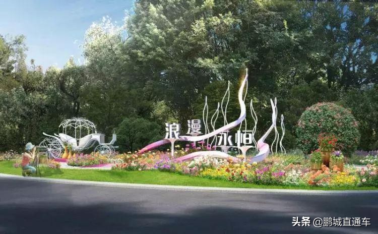 年宵花争奇斗艳价格亲民惹人爱,春节临近年宵花热销新品种受青睐