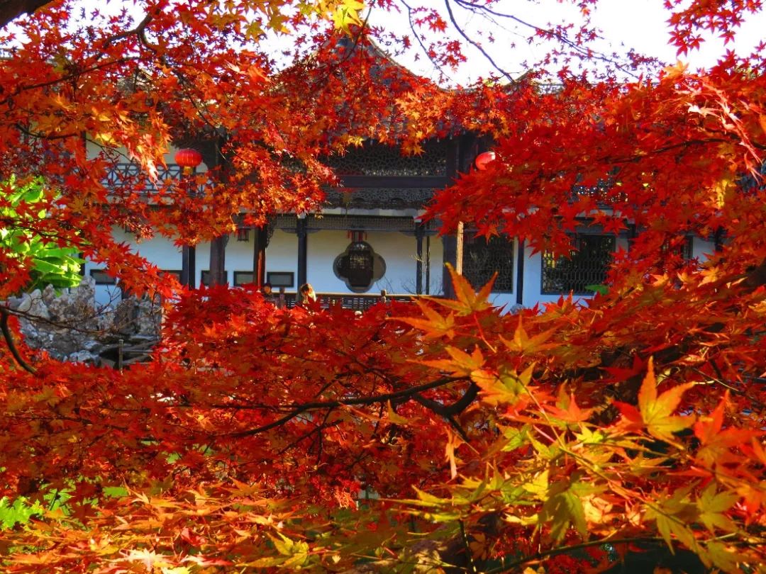 被严重低估的江苏成绩,扬州被严重低估的城市