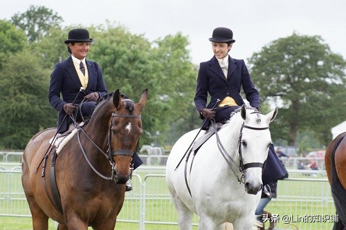 有趣又真实的冷知识,有趣的冷知识简直有点不可思议