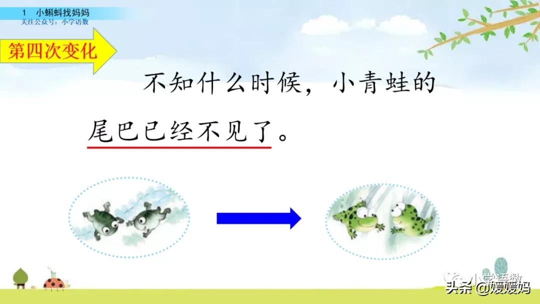 二年级上册小蝌蚪找妈妈听写词语,朗读二年级上册语文小蝌蚪找妈妈