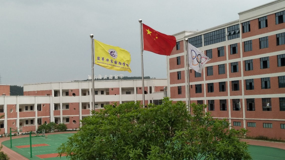 金猪辞旧玉鼠迎新,金猪纳福辞旧岁