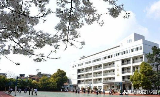 中国十大名校武汉有几所,武汉最难进的12所学校