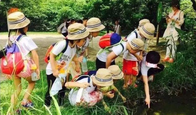 “妈妈,有人打我,怎么办?”面对孩子哭诉,高情商妈妈这样回答