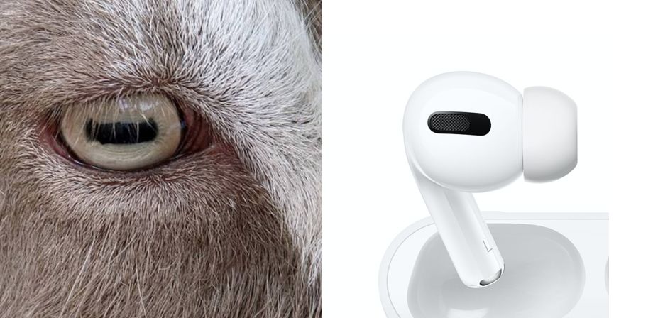 花2000买苹果手机值得吗,花2000买耳机