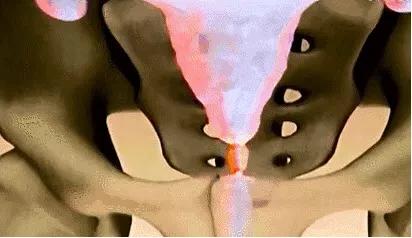 18张动图揭秘，你不是游得最快的那一个精子