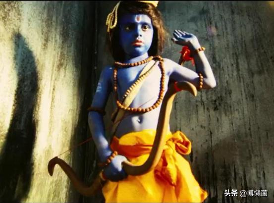 印度巨型根菜,印度根菜