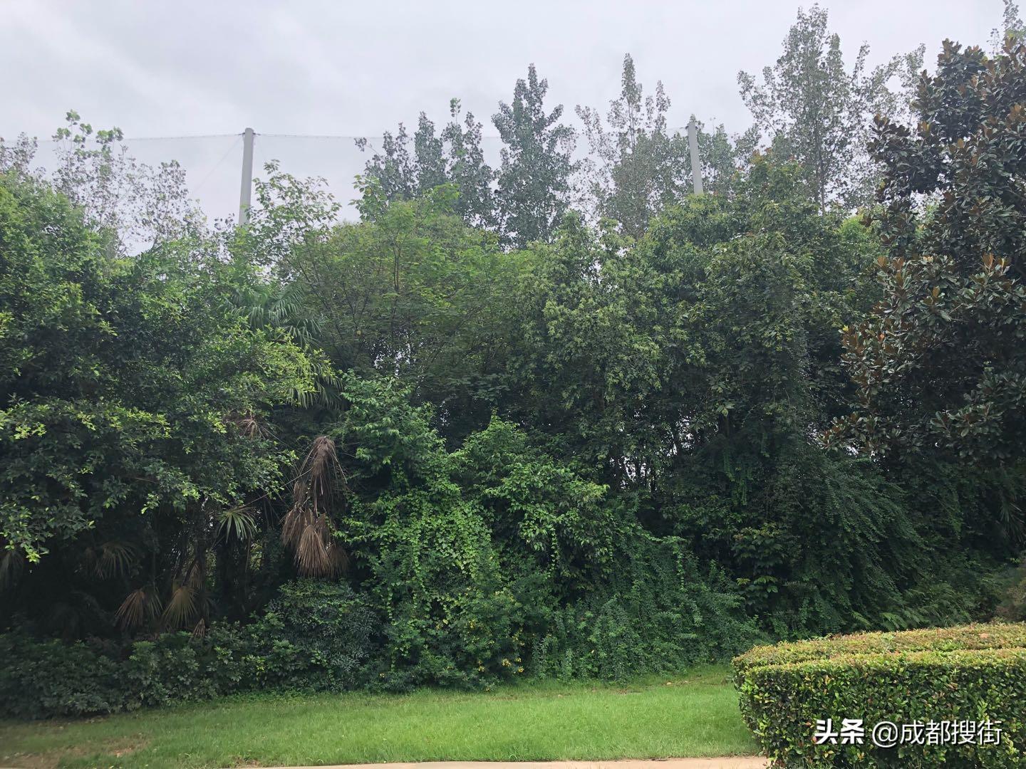 成都双流区麓山大道二段,成都麓山大道属于几环