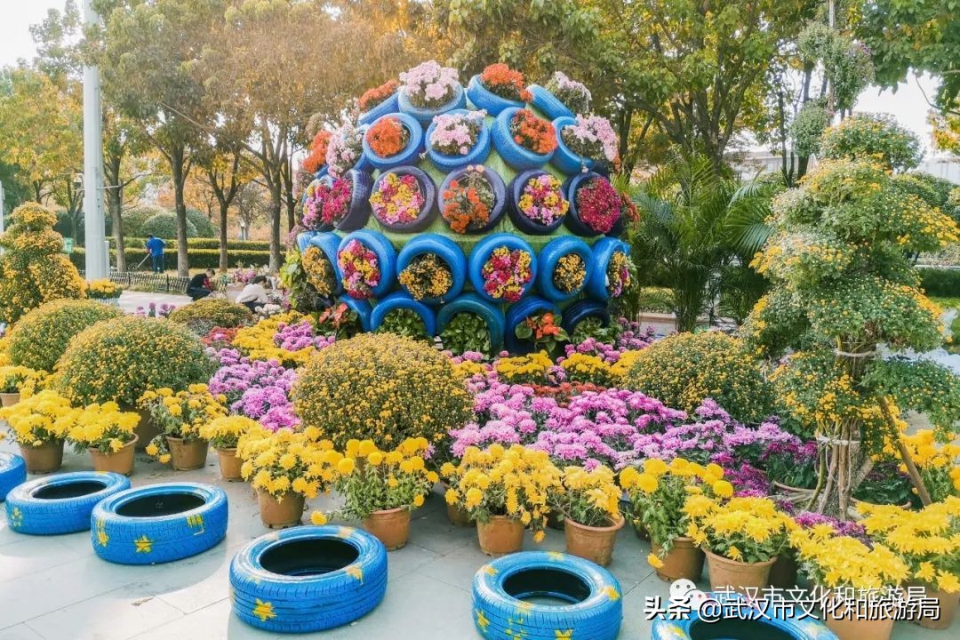 武汉菊花旅游攻略,花点时间武汉天地店