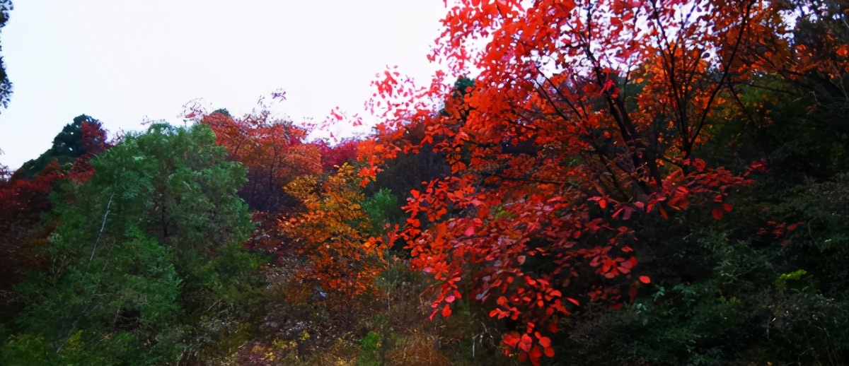 自由光全系车型,自由光2.0l驾驶感受