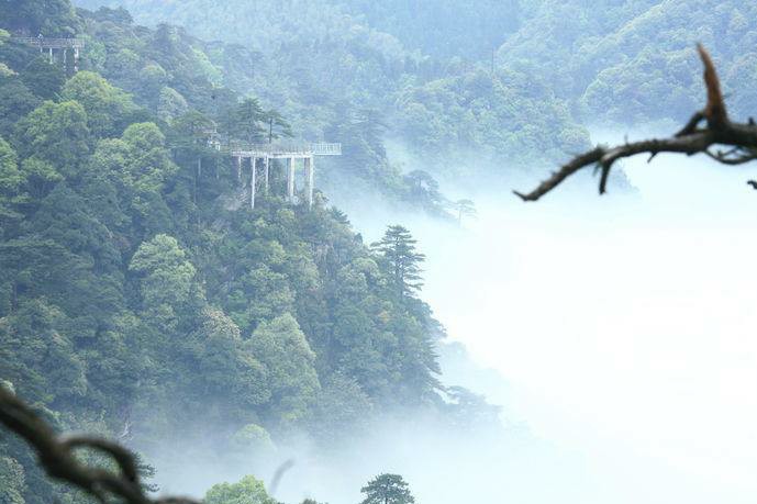 畅梦轻怀，黄灯醉墨，一笔尽是思硕
