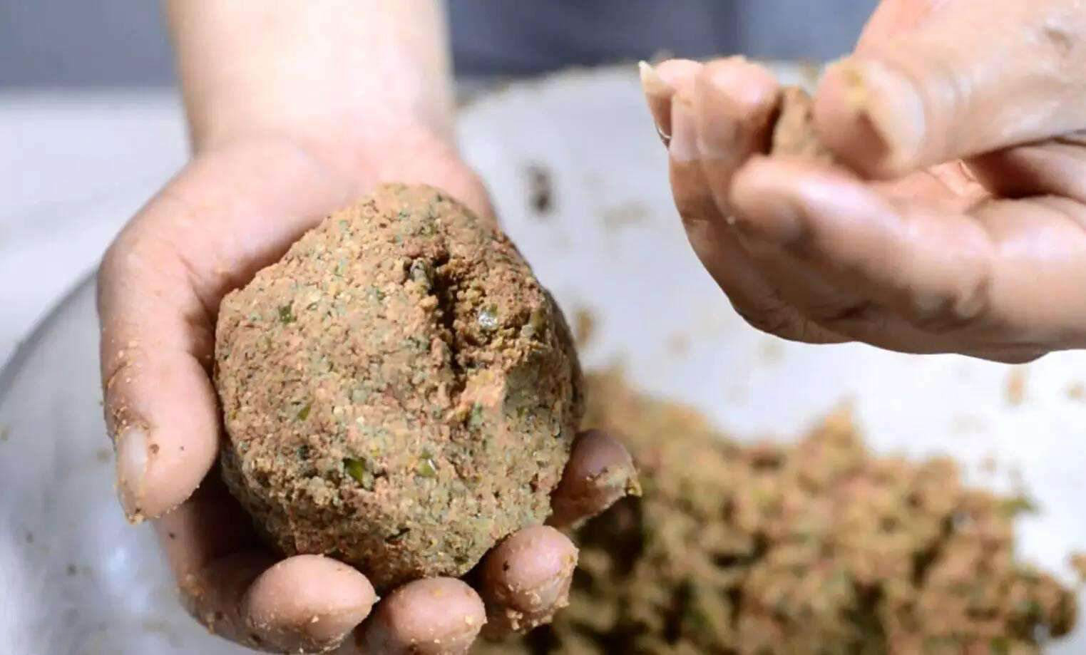 鱼儿吃饵料不咬钩是什么原因,鱼儿吃不饱会怎么样