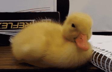 在床上有什么姿势，你就是什么性格的人。欢迎对号入座…