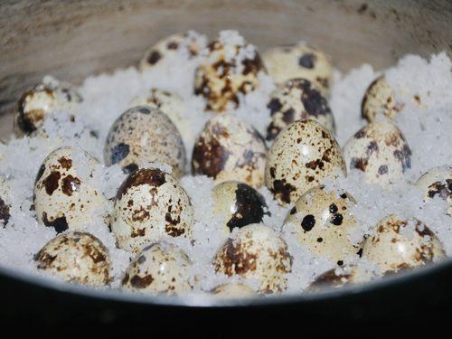 简述食盐在烹饪中的作用及用量,食盐的用途科普