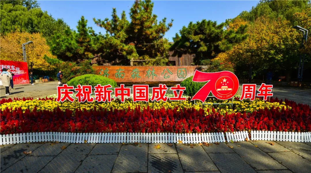 夏日好去处济南森林公园,济南森林公园雪景