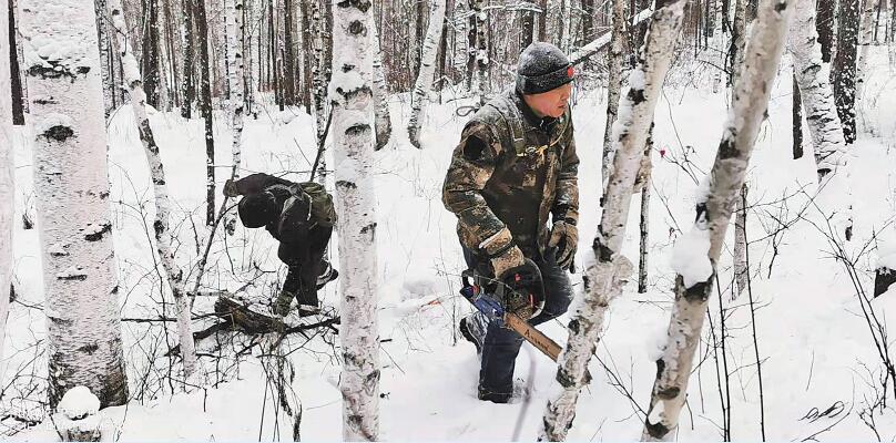 行走在冷冽的寒风中完整版,行走在冷冽的寒风中
