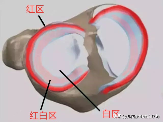 膝盖痛是什么病引起的怎么治,膝盖疼致病原因