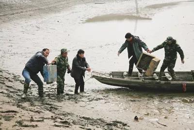 三男子非法电鱼南京,3名男子非法捕鱼600余斤