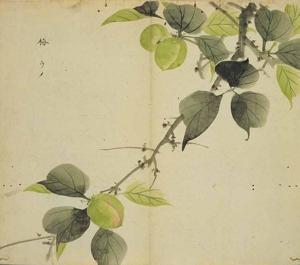 诗经卫风有狐赏析,诗经卫风有狐朗诵