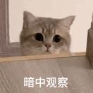 武汉大学对比华中科技大学,武汉大学和华中科技大学谁强