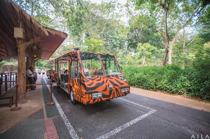 新加坡景点排行榜前十名,新加坡旅游攻略必玩的景点