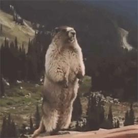 明星用的粉底液不脱妆正品,明星用的夏天不脱妆粉底液