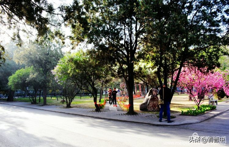 山西农大美丽的校园,山西农大校园风光