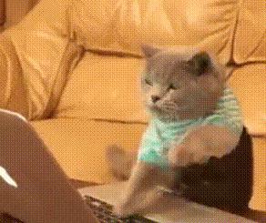 国产外设品牌，高颜值特色键盘盘点