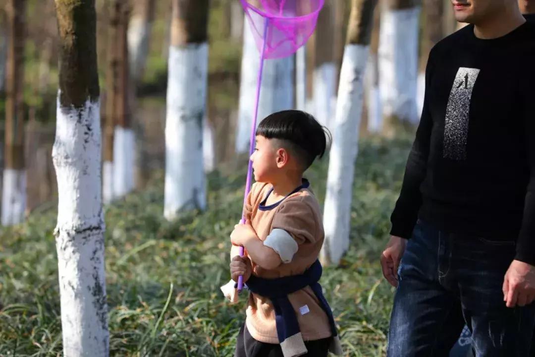3月底天府绿道哪段最美,天府绿道介绍及特色
