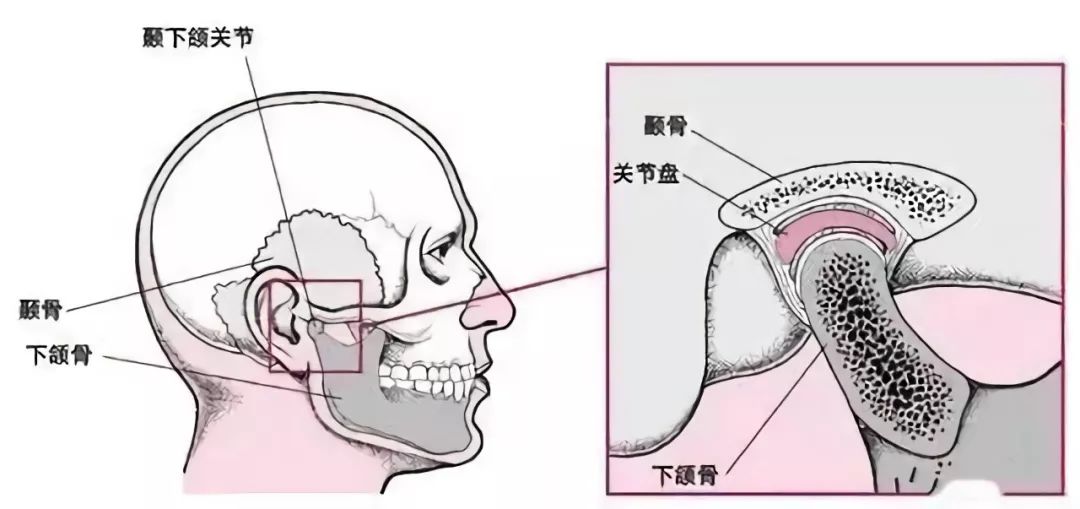 地包天科普主题,孩子地包天的治疗方法