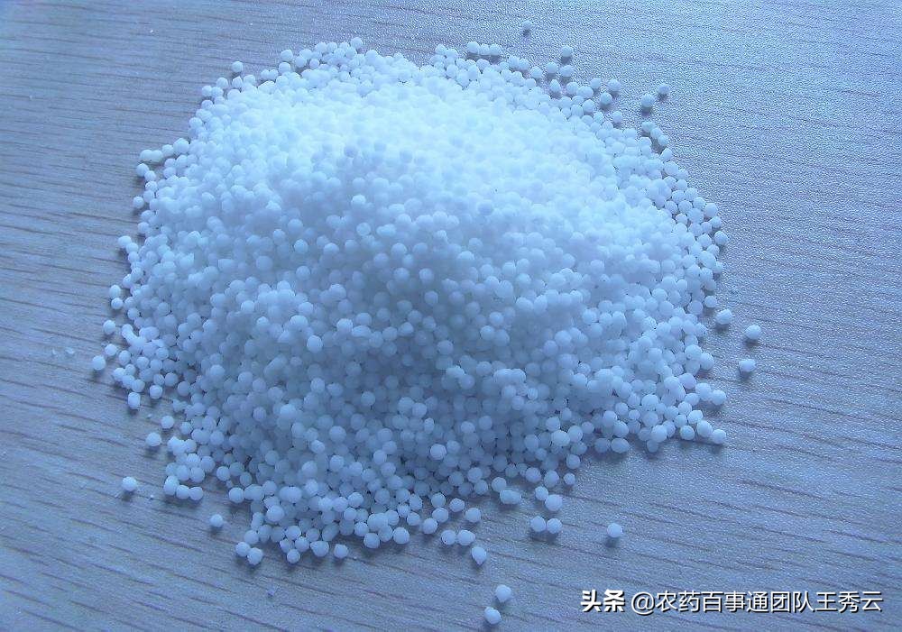 植物生长调节剂24d的使用说明书,植物生长调节剂的正确用法