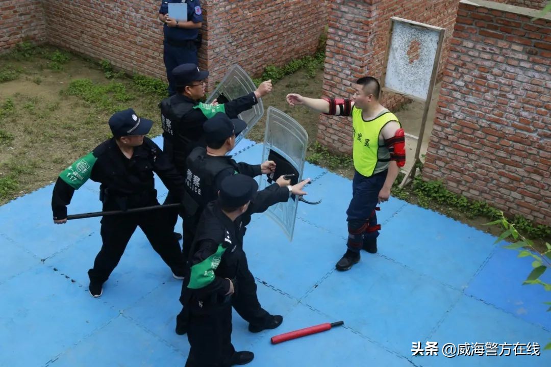 全警实战大练兵提升办案效率,全警实战大练兵加强执法训练