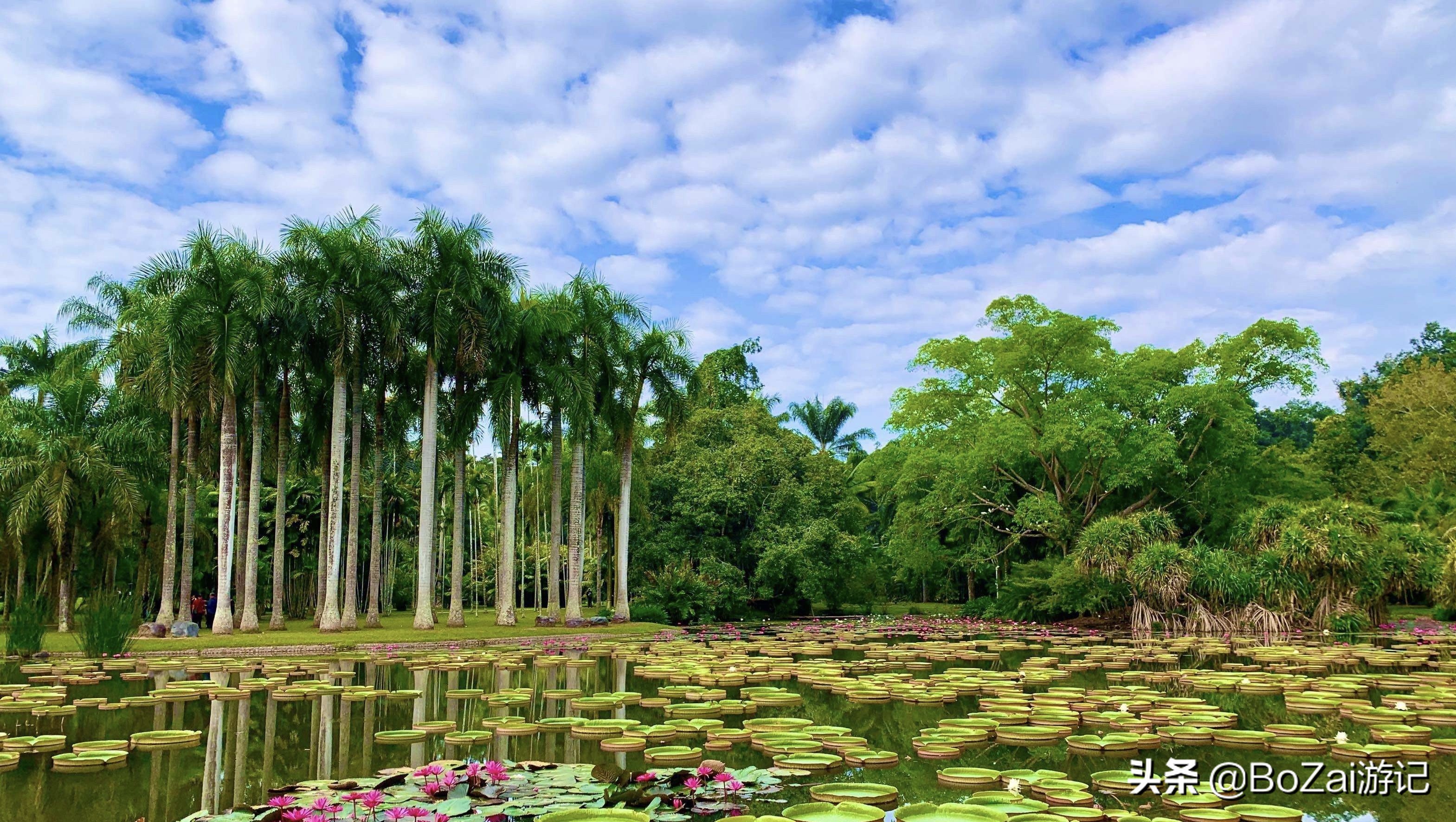 云南旅游攻略最佳线路洱海,到云南旅游必去景点推荐