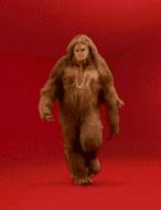 袁咏仪短发发型图片大全,袁咏仪发型短发