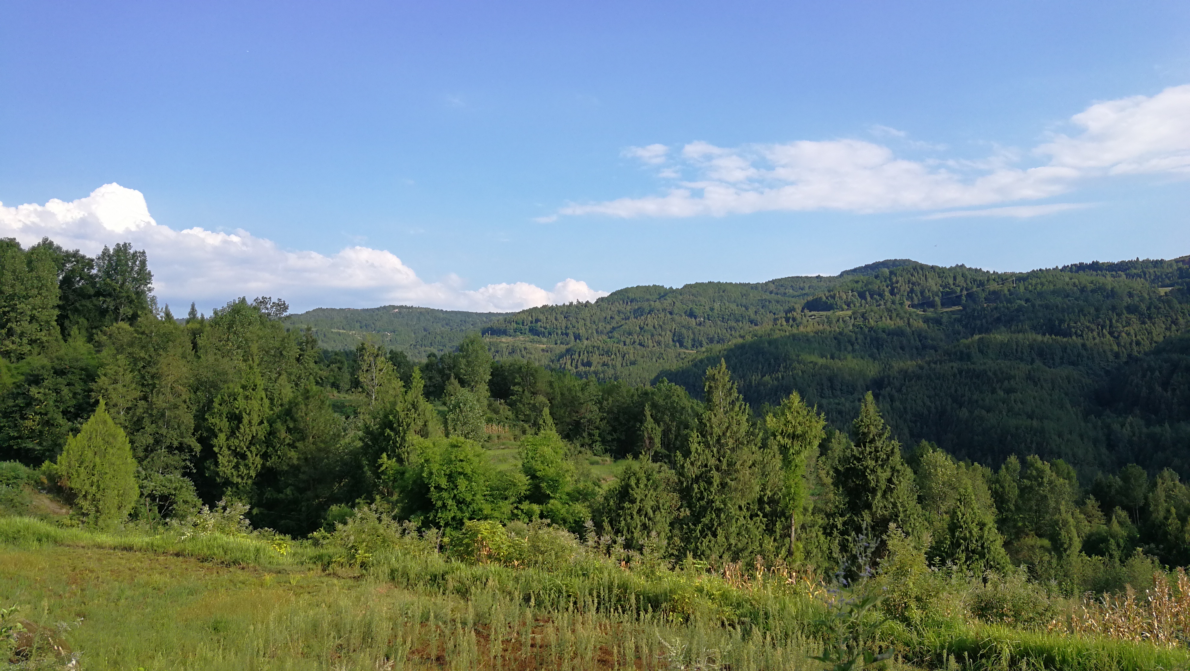 为什么人人都喜欢说教,为什么说教育就是这么一回事