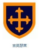 英格兰队徽壁纸,英格兰队徽图片蓝锁