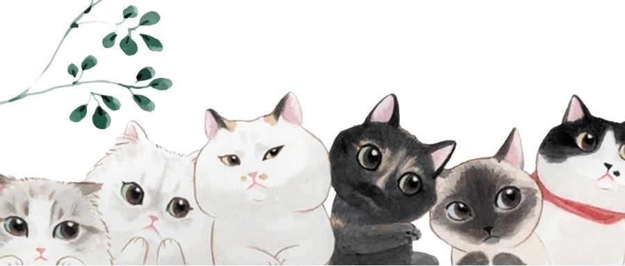 夏天如何带宠物上飞机回国,有哪些地方可以带宠物回国