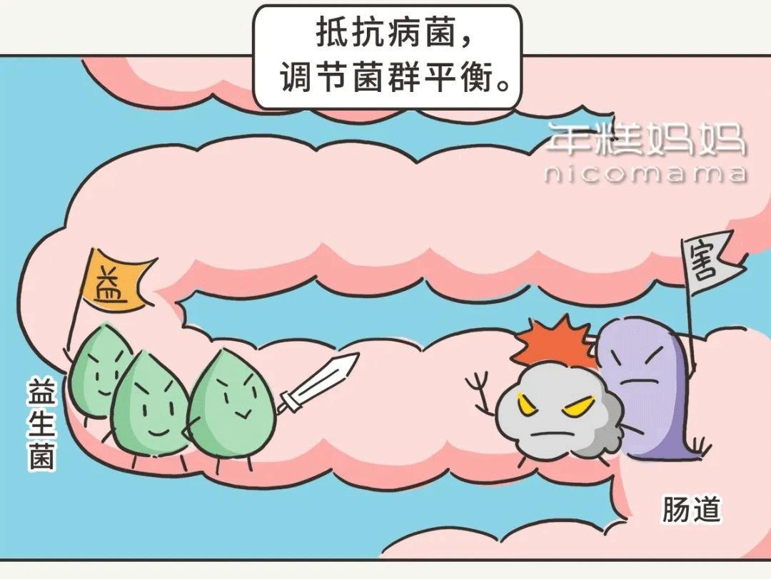 益生菌别瞎吃,婴儿吃什么益生菌调理肠胃比较好