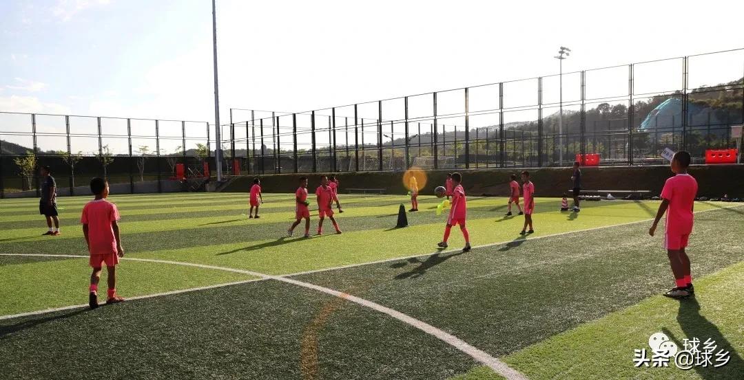 姊呭窞鎸煄闈掕鏈堣禌,鑱屼笟姊槦瓒崇悆闈掕