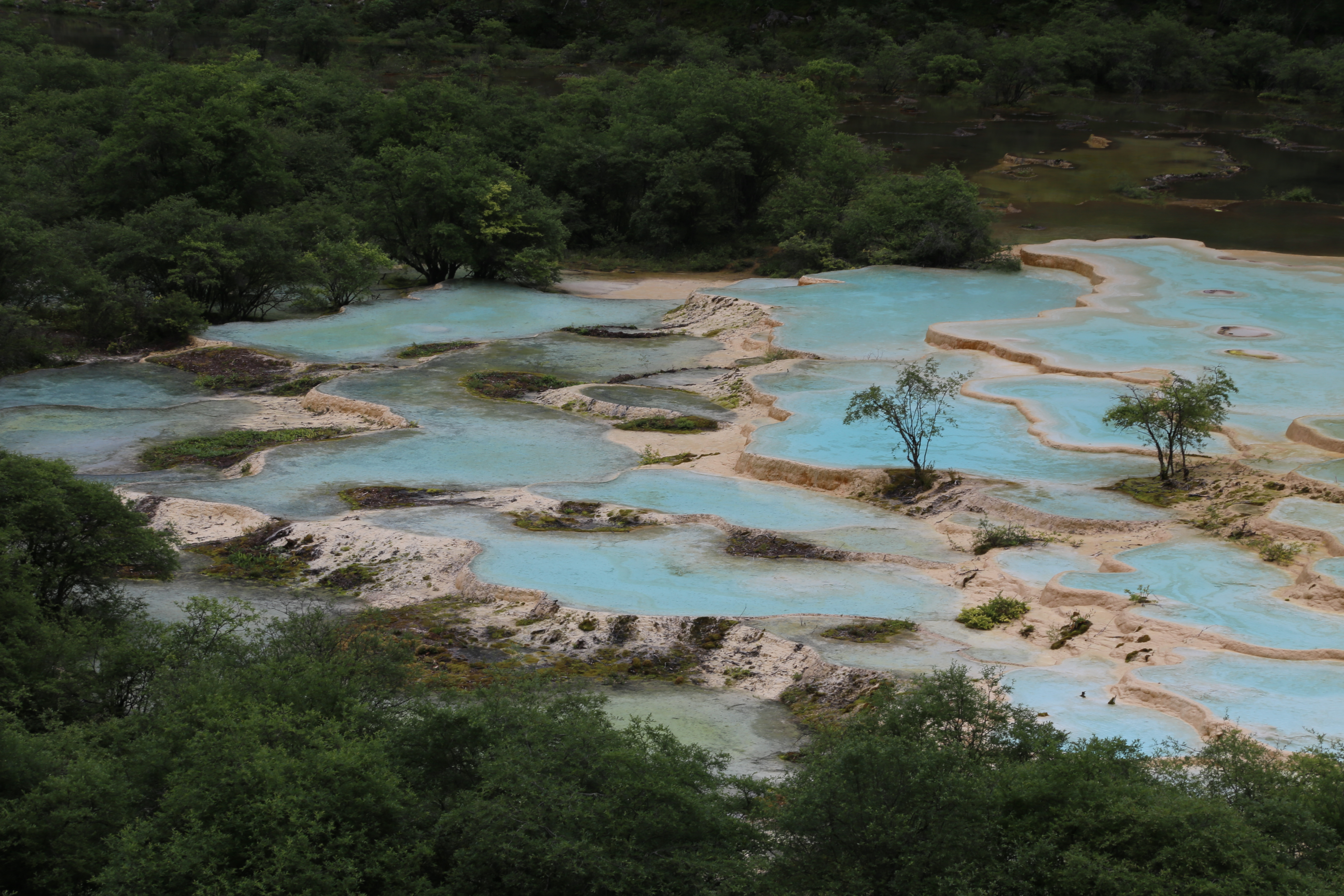 自驾游六——四川黄龙景区随笔