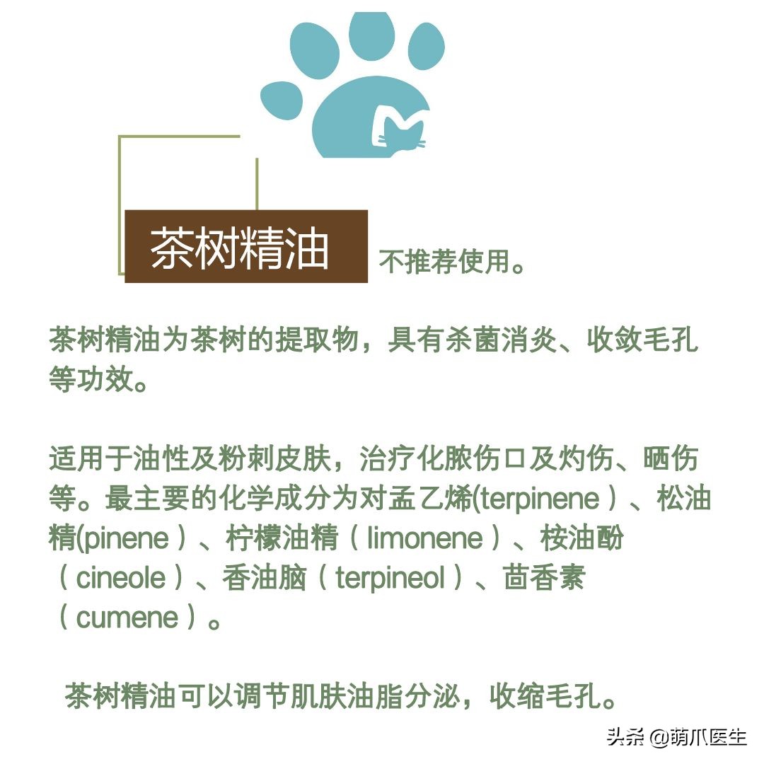 猫咪黑下巴毛囊炎的终极解决办法,猫咪有毛囊炎胡须还能长出来吗