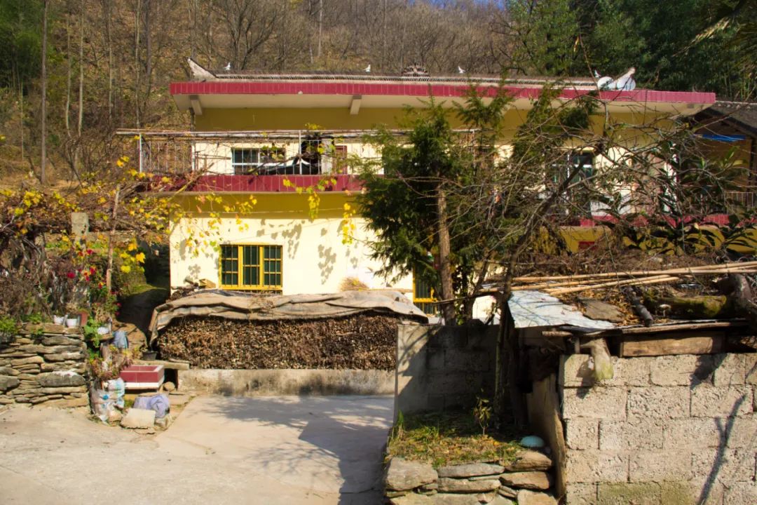 寻访秦岭龙潭村，背篓都是背在背上，这位大婶为何将其挎在腰间？