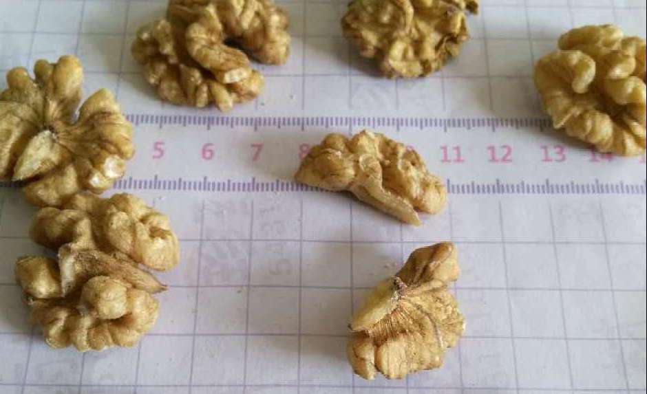 核桃真假的分辨,核桃好坏辨别