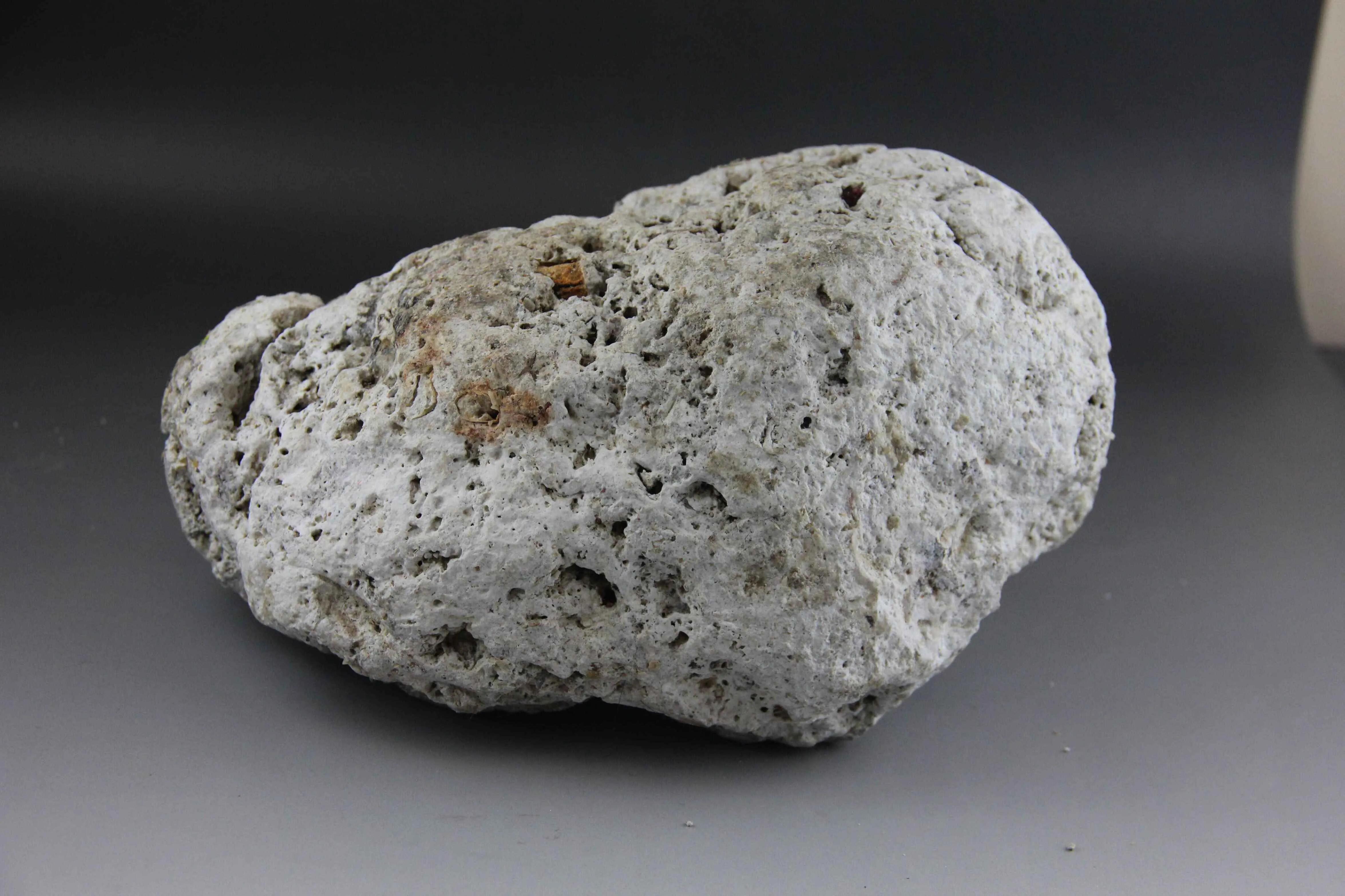 吃臭身体会变臭？吃香味食物身体就会变香？谈谈食物对体味的影响